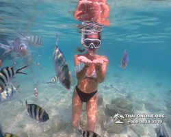 Underwater Odyssey snorkeling tour from Pattaya Thailand photo 14554