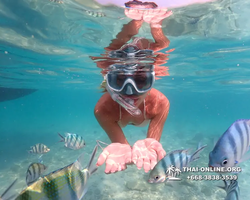 Underwater Odyssey snorkeling tour from Pattaya Thailand photo 14367