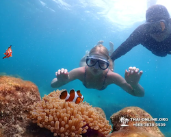 Underwater Odyssey snorkeling excursion in Pattaya Thailand photo 671