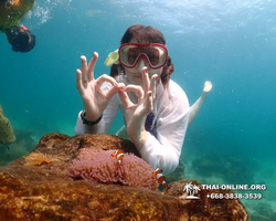 Underwater Odyssey snorkeling excursion Pattaya Thailand photo 14841