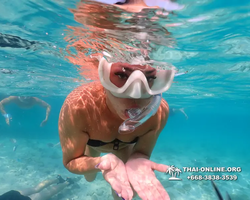 Underwater Odyssey snorkeling excursion Pattaya Thailand photo 10963
