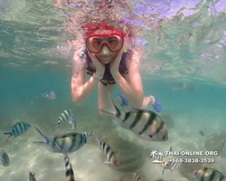 Underwater Odyssey snorkeling excursion Pattaya Thailand photo 19385