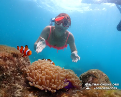 Underwater Odyssey snorkeling excursion in Pattaya Thailand photo 668