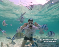 Underwater Odyssey snorkeling tour from Pattaya Thailand photo 18297