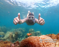 Underwater Odyssey snorkeling tour from Pattaya Thailand photo 14183