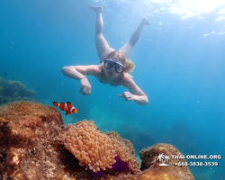 Underwater Odyssey snorkeling excursion in Pattaya Thailand photo 924