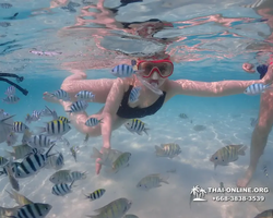 Underwater Odyssey snorkeling excursion in Pattaya Thailand photo 863