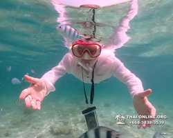 Underwater Odyssey snorkeling tour from Pattaya Thailand photo 18533