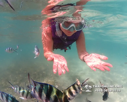 Underwater Odyssey snorkeling excursion Pattaya Thailand photo 19426