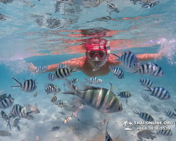 Underwater Odyssey snorkeling excursion in Pattaya Thailand photo 383