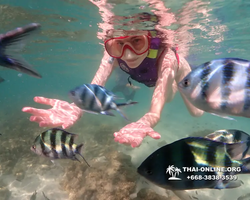 Underwater Odyssey snorkeling excursion Pattaya Thailand photo 19295