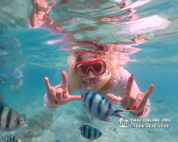 Underwater Odyssey snorkeling tour from Pattaya Thailand photo 14489