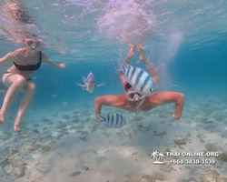Underwater Odyssey snorkeling excursion Pattaya Thailand photo 11046