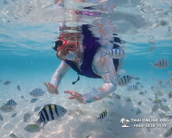 Underwater Odyssey snorkeling excursion in Pattaya Thailand photo 916