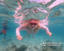 Underwater Odyssey snorkeling tour from Pattaya Thailand photo 14314