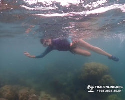 Underwater Odyssey snorkeling excursion in Pattaya Thailand photo 236