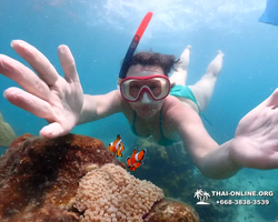 Underwater Odyssey snorkeling excursion in Pattaya Thailand photo 520