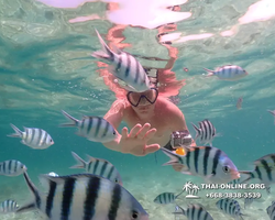 Underwater Odyssey snorkeling tour from Pattaya Thailand photo 18338