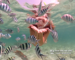 Underwater Odyssey snorkeling tour from Pattaya Thailand photo 18385