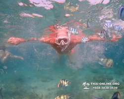 Underwater Odyssey snorkeling excursion Pattaya Thailand photo 11530