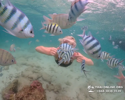 Underwater Odyssey snorkeling excursion in Pattaya Thailand photo 80