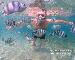 Underwater Odyssey snorkeling excursion Pattaya Thailand photo 11189