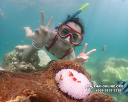 Underwater Odyssey snorkeling excursion Pattaya Thailand photo 19200