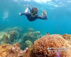 Underwater Odyssey snorkeling excursion Pattaya Thailand photo 14203