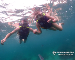 Underwater Odyssey snorkeling excursion in Pattaya Thailand photo 76