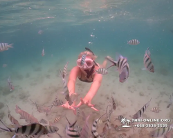 Underwater Odyssey snorkeling excursion in Pattaya Thailand photo 301