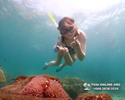 Underwater Odyssey snorkeling tour from Pattaya Thailand photo 18769
