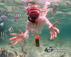 Underwater Odyssey snorkeling tour from Pattaya Thailand photo 18388