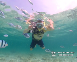 Underwater Odyssey snorkeling tour from Pattaya Thailand photo 18810