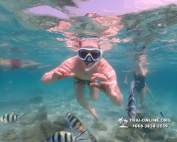 Underwater Odyssey snorkeling tour from Pattaya Thailand photo 14391