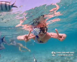 Underwater Odyssey snorkeling excursion Pattaya Thailand photo 11008