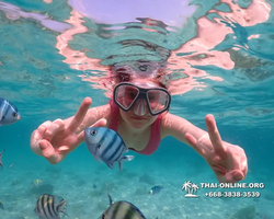 Underwater Odyssey snorkeling tour from Pattaya Thailand photo 14264