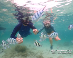 Underwater Odyssey snorkeling excursion in Pattaya Thailand photo 71