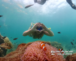 Underwater Odyssey snorkeling tour from Pattaya Thailand photo 18384