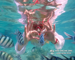 Underwater Odyssey snorkeling tour from Pattaya Thailand photo 14332