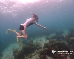 Underwater Odyssey snorkeling excursion in Pattaya Thailand photo 319