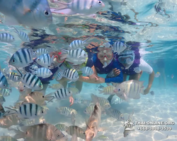 Underwater Odyssey snorkeling excursion in Pattaya Thailand photo 595