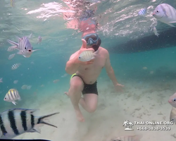 Underwater Odyssey snorkeling excursion in Pattaya Thailand photo 238