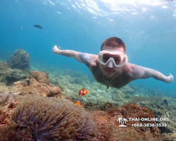 Underwater Odyssey snorkeling excursion Pattaya Thailand photo 11456