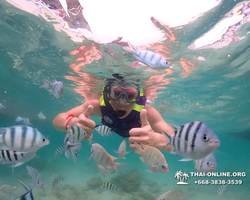 Underwater Odyssey snorkeling excursion in Pattaya Thailand photo 77