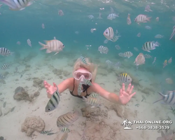 Underwater Odyssey snorkeling excursion in Pattaya Thailand photo 268