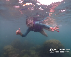 Underwater Odyssey snorkeling excursion in Pattaya Thailand photo 310