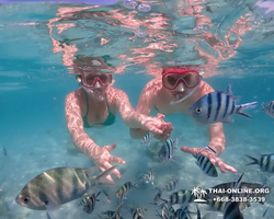 Underwater Odyssey snorkeling excursion in Pattaya Thailand photo 408