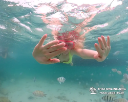 Underwater Odyssey snorkeling excursion in Pattaya Thailand photo 184