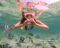 Underwater Odyssey snorkeling tour from Pattaya Thailand photo 18296