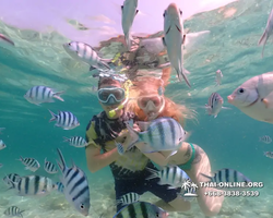 Underwater Odyssey snorkeling tour from Pattaya Thailand photo 18331